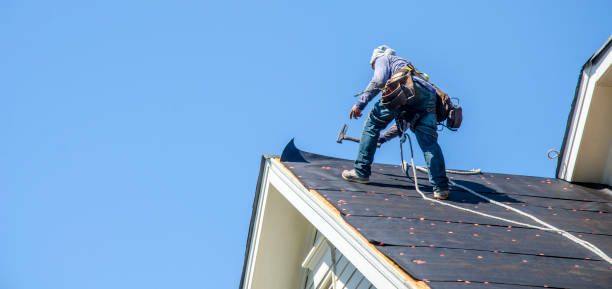 Best Roof Maintenance Services  in Cohasset, MN